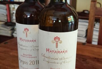 Hatzidakis Pyrgos 2010