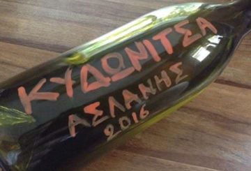Aslanis Κυδωνίτσα 2016