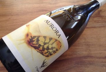 I Vigneri Aurora 2016