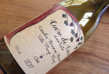 Cuero de Vaca Viñedos Herrera Alvarado 2017