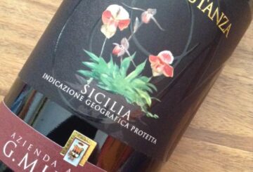 G. Milazzo Maria Costanza 2010