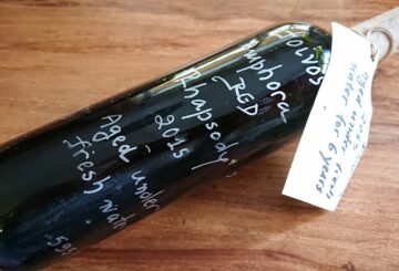 Foivos Amphora Red Rhapsody Aged Under Fresh Water 6 Yrs 2015