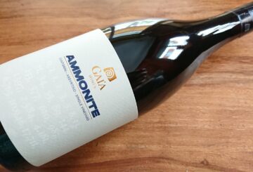 Gaia Wines Ammonite Single Vineyard Santorini 2021