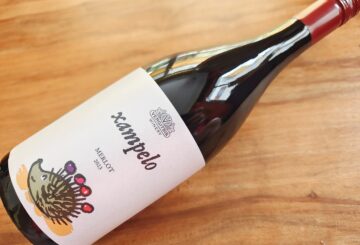Vergitsis Winery Xampelo Merlot 2023