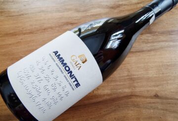 Gaia Wines Ammonite Santorini Single Vineyard 2022